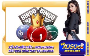 Xổ Số Miền Bắc - Xem Nhanh Kết Quả Hôm Nay Tại Xoso66